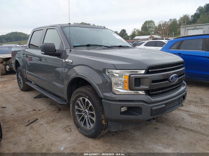 FORD F-150 XLT