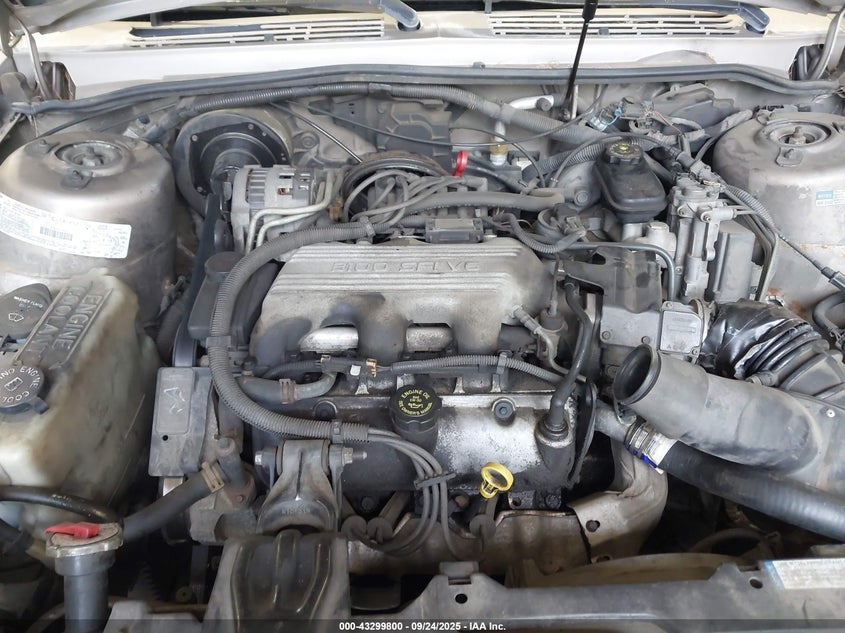 1996 Buick Century Special/Custom/Limited VIN: 1G4AG55M3T6424701 Lot: 43299800