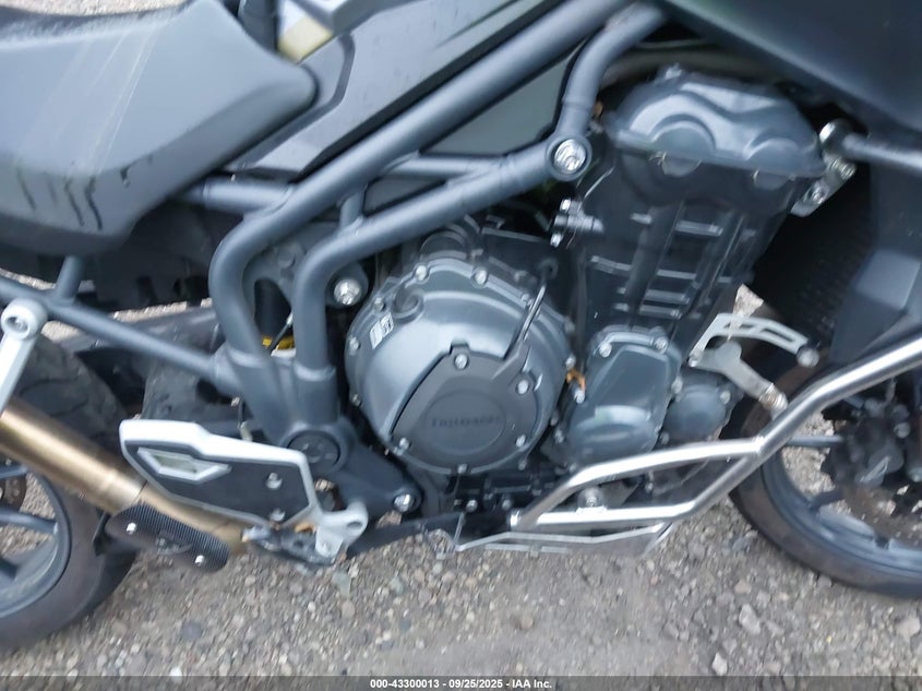 SMTF02XK80J568981 2013   photo no. 8