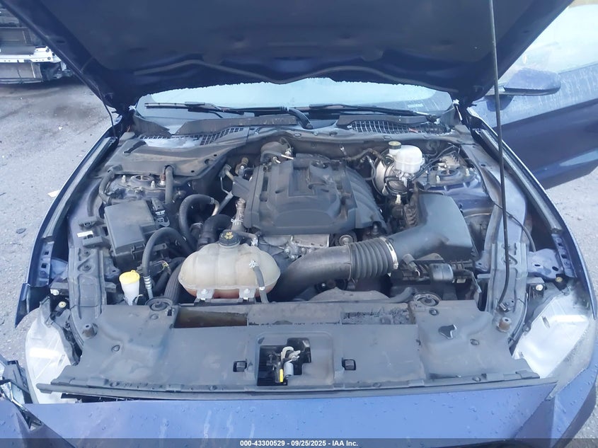 2019 FORD MUSTANG ECOBOOST - 1FA6P8TH6K5166797