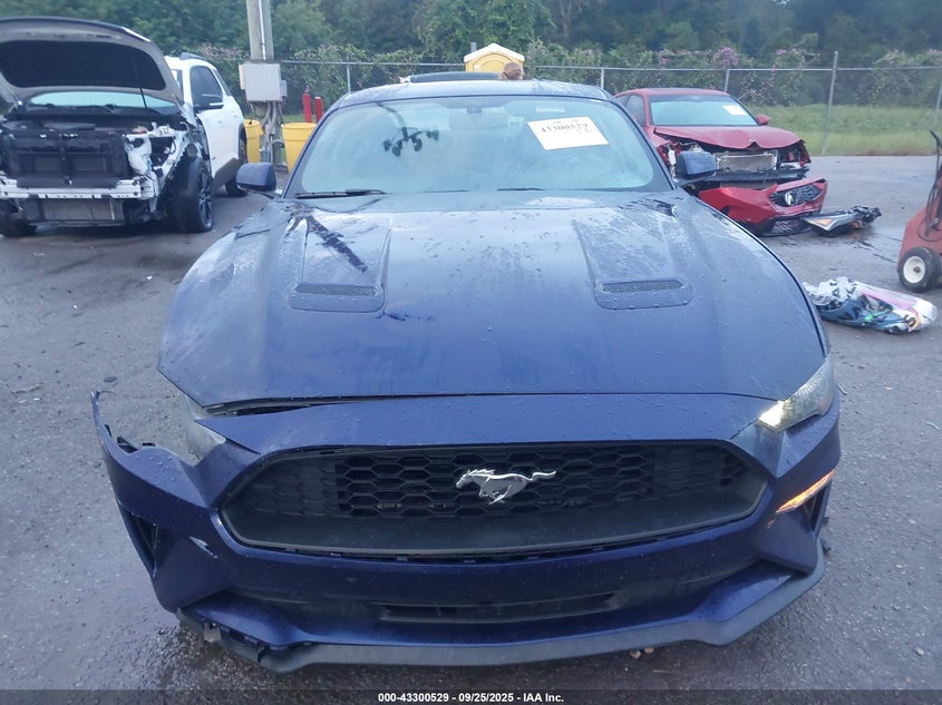 2019 FORD MUSTANG ECOBOOST - 1FA6P8TH6K5166797