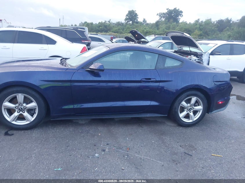 2019 FORD MUSTANG ECOBOOST - 1FA6P8TH6K5166797