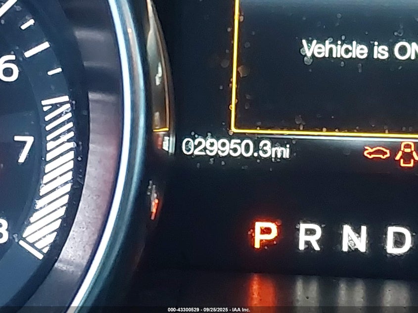 2019 FORD MUSTANG ECOBOOST - 1FA6P8TH6K5166797