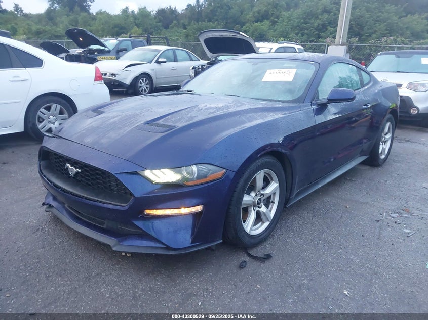 2019 FORD MUSTANG ECOBOOST - 1FA6P8TH6K5166797