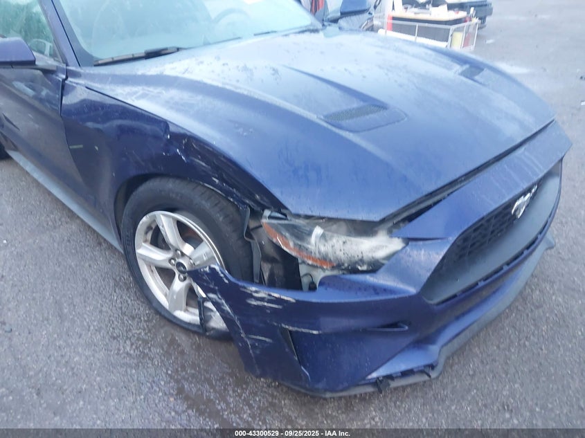 2019 FORD MUSTANG ECOBOOST - 1FA6P8TH6K5166797