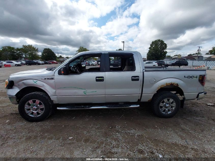 2010 Ford F-150 Fx4/Harley-Davidson/King Ranch/Lariat/Platinum/Xl/Xlt VIN: 1FTFW1EV8AFA03830 Lot: 43300545