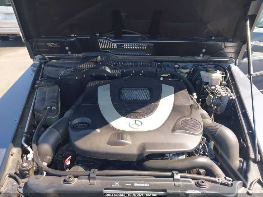 2009 Mercedes-Benz G 550 4Matic VIN: WDCYR37E19X180454 Lot: 43300669