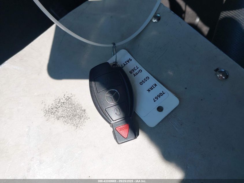 2009 Mercedes-Benz G 550 4Matic VIN: WDCYR37E19X180454 Lot: 43300669