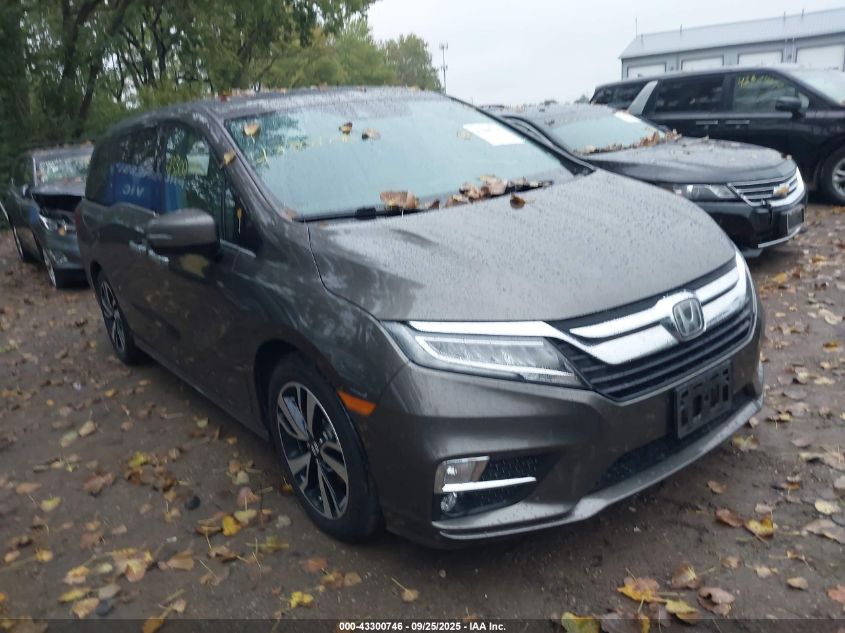 HONDA ODYSSEY ELITE