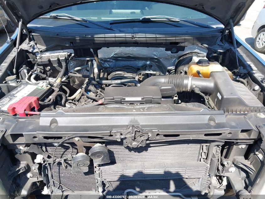 2013 Ford F-150 Stx VIN: 1FTFX1CF8DFD84009 Lot: 43300757