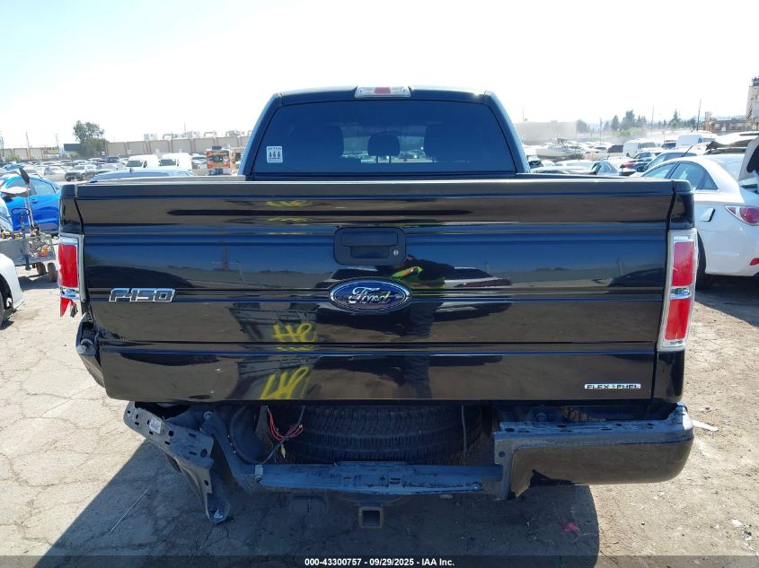 2013 Ford F-150 Stx VIN: 1FTFX1CF8DFD84009 Lot: 43300757