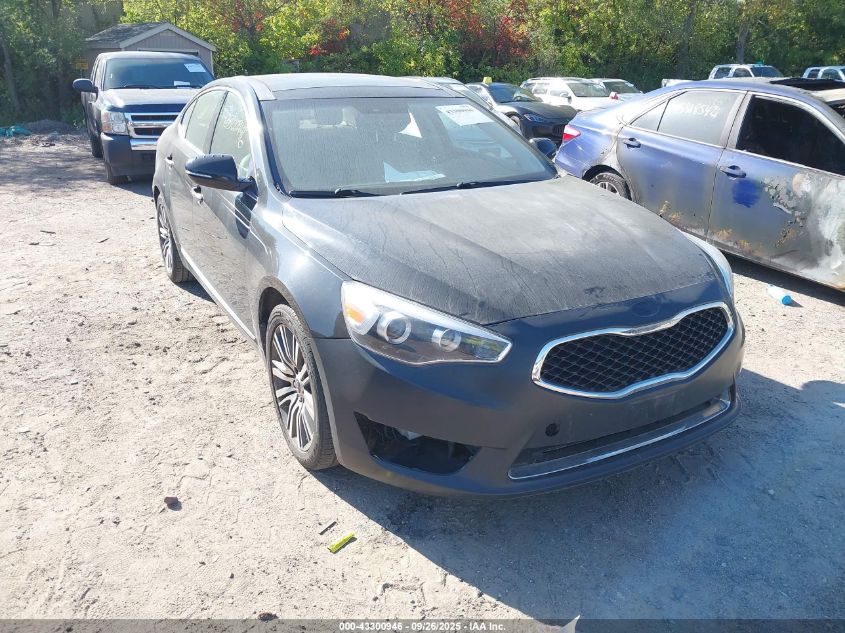 2014 Kia Cadenza Premium VIN: KNALN4D70E5148766 Lot: 43300946