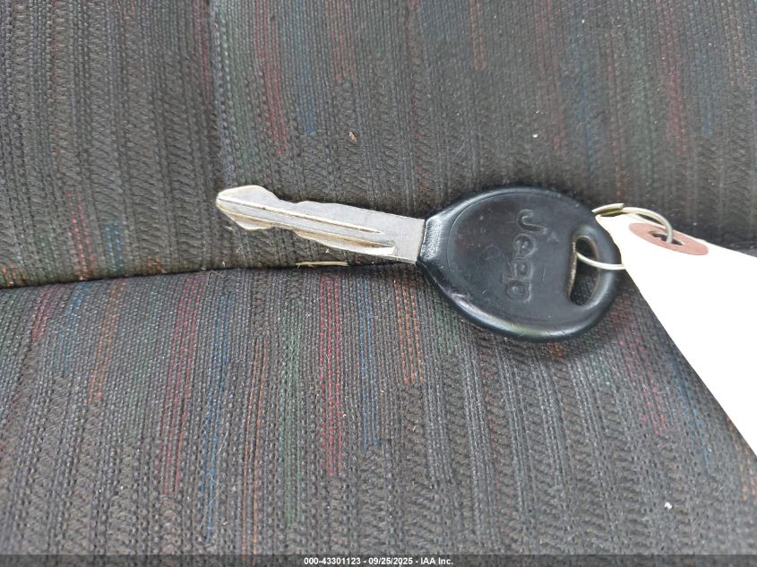 2003 Jeep Wrangler X VIN: 1J4FA39S73P313128 Lot: 43301123