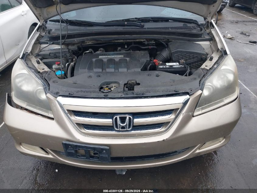 2006 Honda Odyssey Ex-L VIN: 5FNRL38606B429531 Lot: 43301126