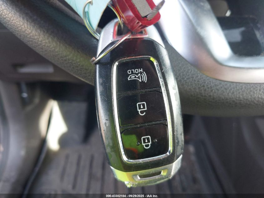 2020 Hyundai Santa Fe Sel VIN: 5NMS3CAD4LH286460 Lot: 43302184