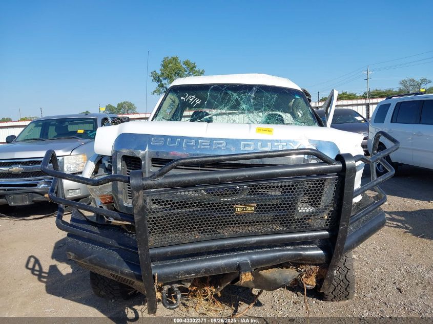 2009 Ford F-250 Xl/Xlt VIN: 1FTSF21Y29EA04641 Lot: 43302371