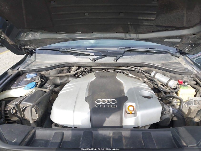 AtlanticExpress - Audi Q7