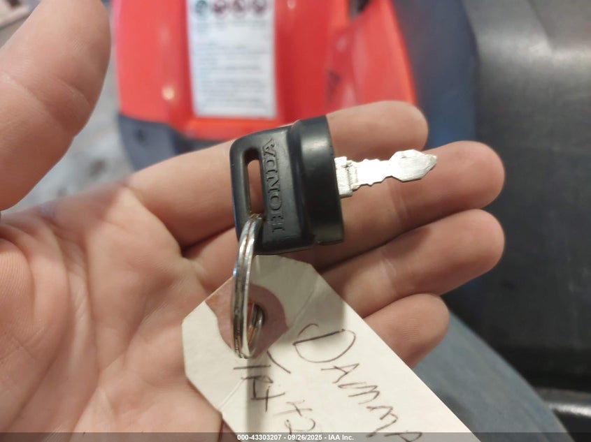 2024 Honda Trx420 Fa VIN: 1HFTE4728RJ000094 Lot: 43303207