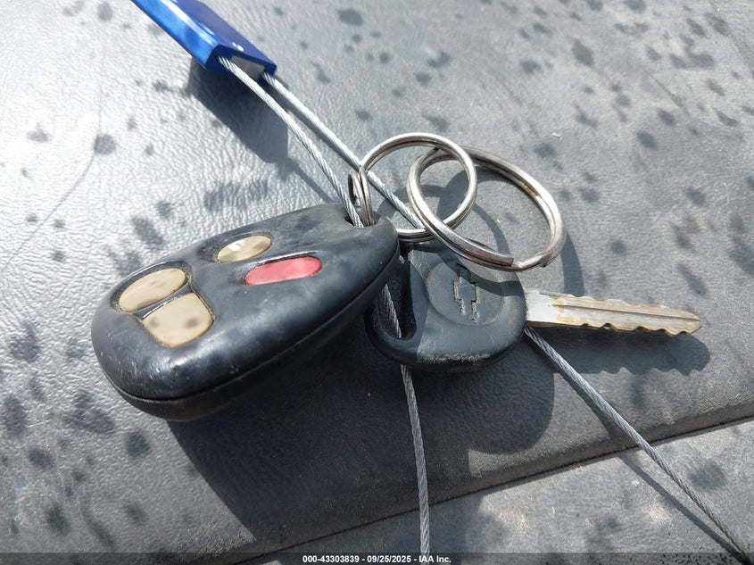 2004 Chevrolet Avalanche 1500 VIN: 3GNEC12T04G299072 Lot: 43303839