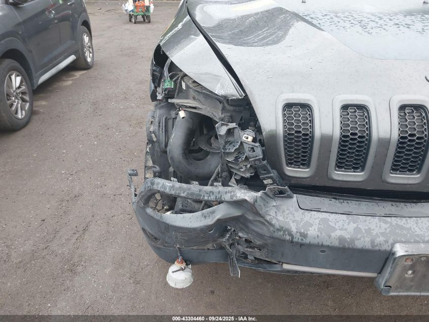 2014 Jeep Cherokee Trailhawk VIN: 1C4PJMBS5EW161143 Lot: 43304460