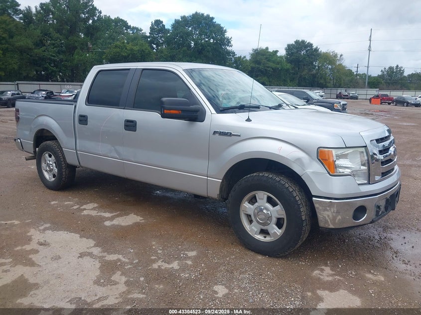 FORD F-150 XLT
