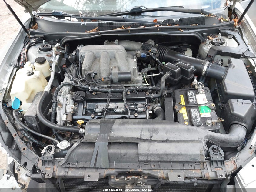 2007 Nissan Maxima 3.5 Se VIN: 1N4BA41E97C806411 Lot: 43304948