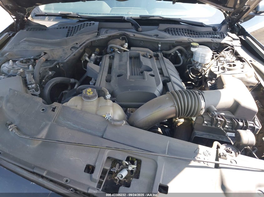 2020 FORD MUSTANG ECOBOOST FASTBACK - 1FA6P8THXL5191963