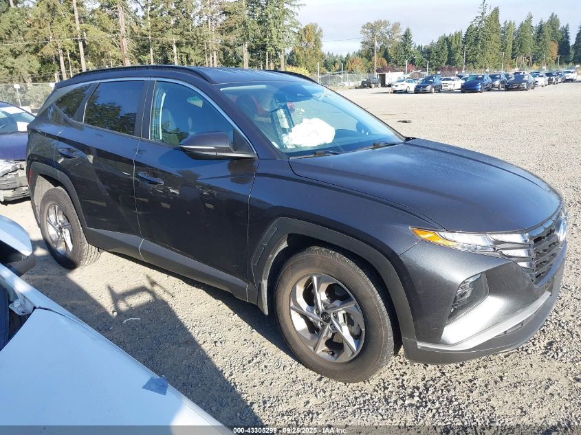 2023 Hyundai Tucson Sel VIN: 5NMJBCAE1PH182375 Lot: 43305299