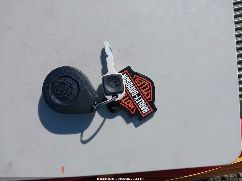 1HD1YXZ1XRB040765 2024 HARLEY-DAVIDSON LOW RIDER photo no. 11