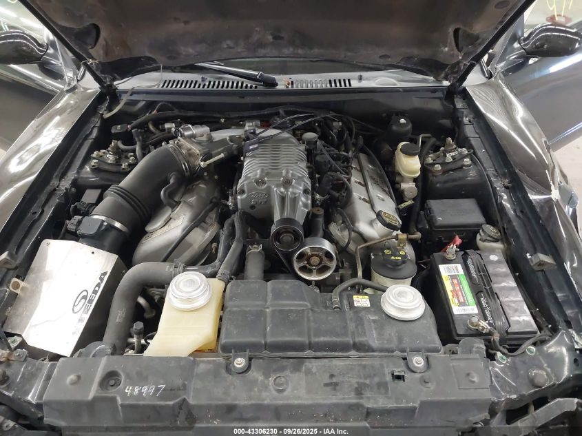 2004 Ford Mustang Cobra VIN: 1FAFP48Y24F224287 Lot: 43306230