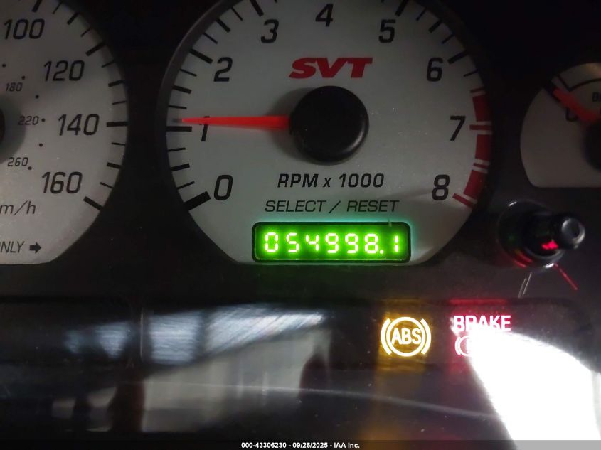 2004 Ford Mustang Cobra VIN: 1FAFP48Y24F224287 Lot: 43306230