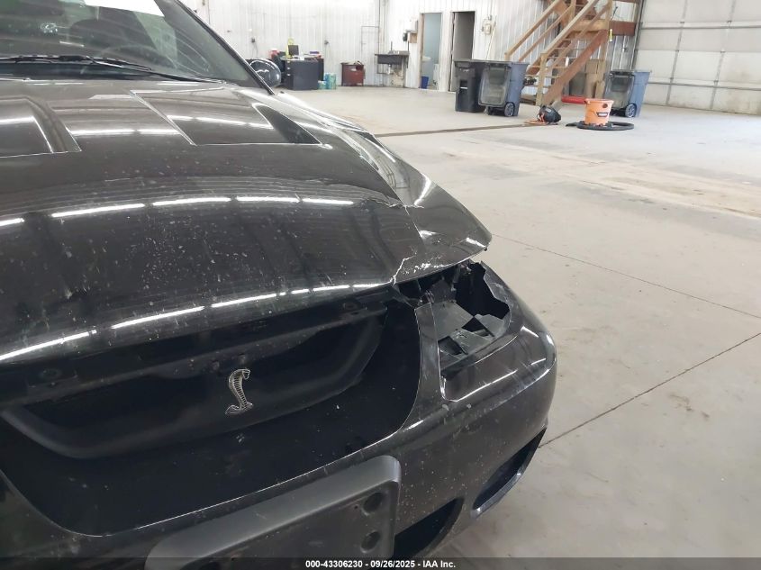 2004 Ford Mustang Cobra VIN: 1FAFP48Y24F224287 Lot: 43306230