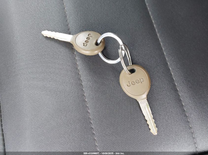 2009 Jeep Wrangler X VIN: 1J4FA24139L730108 Lot: 43306607