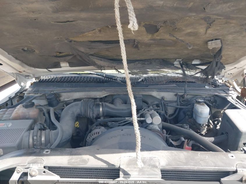 1999 Chevrolet Silverado 1500 VIN: 1GCEC19W1XZ100575 Lot: 43306807