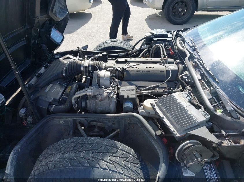 1996 Chevrolet Corvette VIN: 1G1YY22P8T5106021 Lot: 43307134