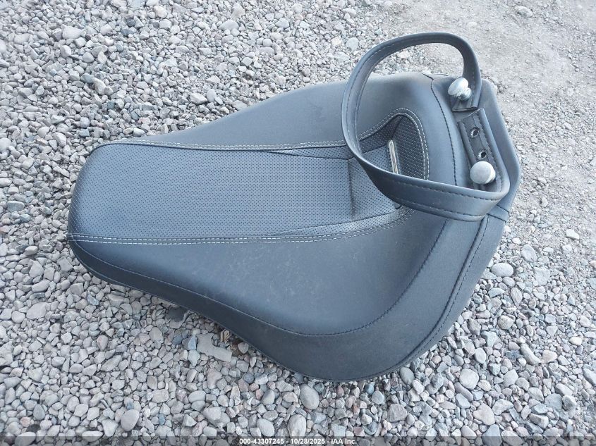 2021 Harley-Davidson Fltrxse VIN: 1HD1TCL17MB956277 Lot: 43307245