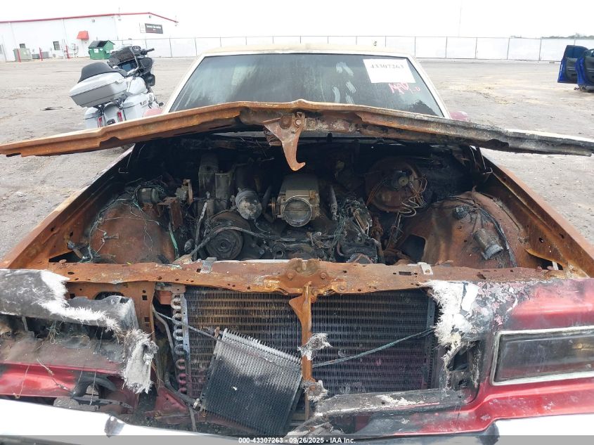 1989 Chevrolet Caprice Classic VIN: 1G1BN51E9KR136040 Lot: 43307263