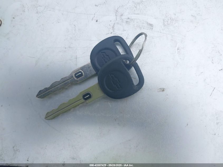 1999 Chevrolet Corvette Hardtop VIN: 1G1YY12G9X5126813 Lot: 43307429