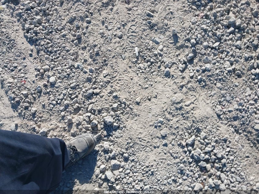 2023 Tesla Model Y Awd/Long Range Dual Motor All-Wheel Drive VIN: 7SAYGDEE1PA161365 Lot: 43307452