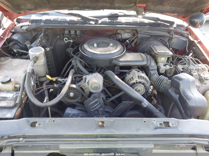 1994 Chevrolet S Truck S10 VIN: 1GCCS14Z5RK138835 Lot: 43307828
