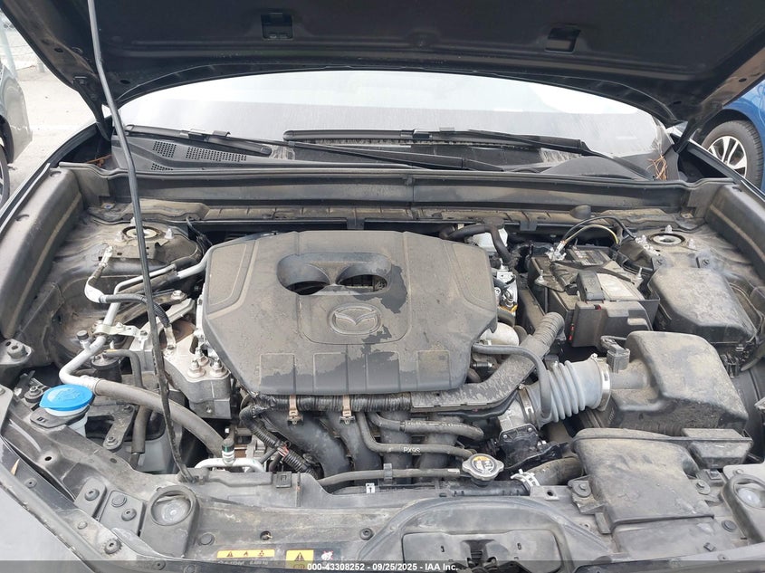 VIN 3MVDMBBM1RM624819 2024 MAZDA CX-30 2.5 S SELECT SPORT