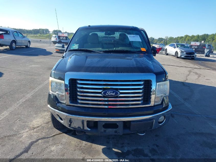 2010 Ford F-150 Xlt VIN: 1FTEW1E84AFD75025 Lot: 43308525