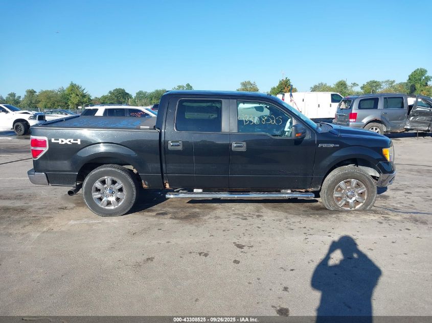 2010 Ford F-150 Xlt VIN: 1FTEW1E84AFD75025 Lot: 43308525