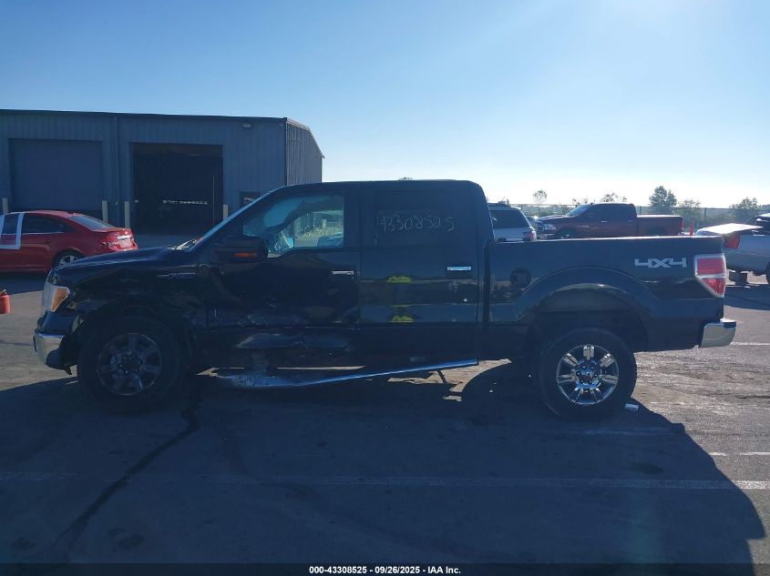 2010 Ford F-150 Xlt VIN: 1FTEW1E84AFD75025 Lot: 43308525