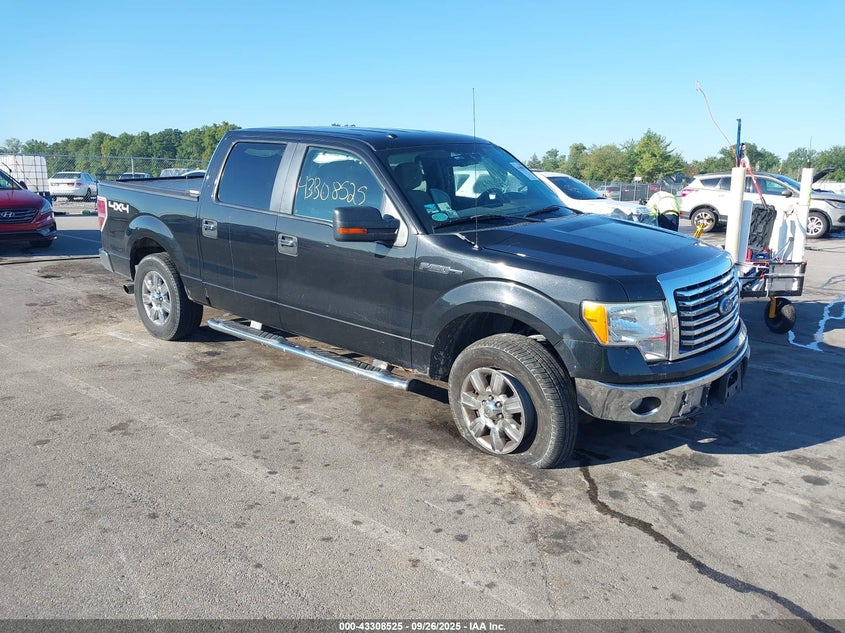 2010 Ford F-150 Xlt