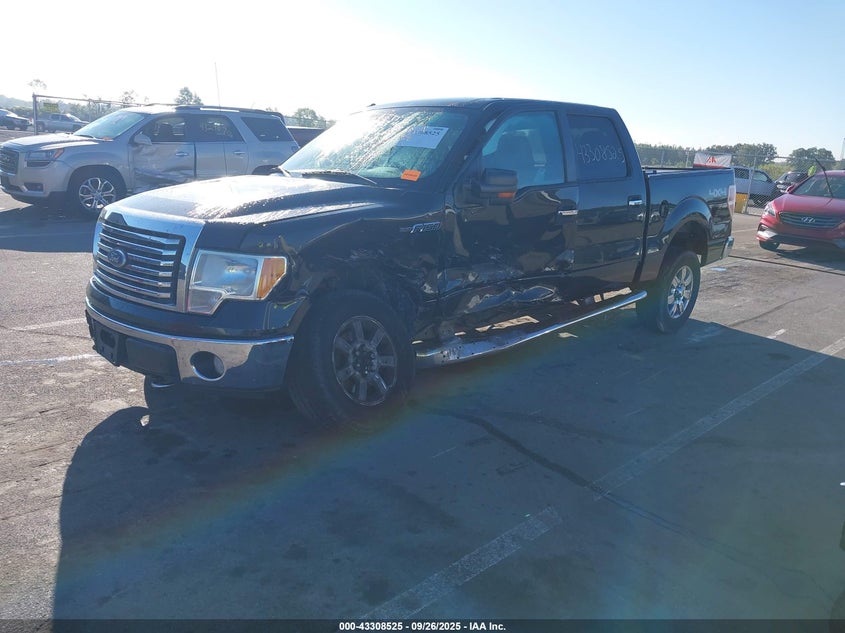 2010 Ford F-150 Xlt