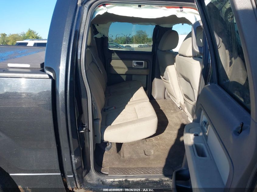 2010 Ford F-150 Xlt VIN: 1FTEW1E84AFD75025 Lot: 43308525