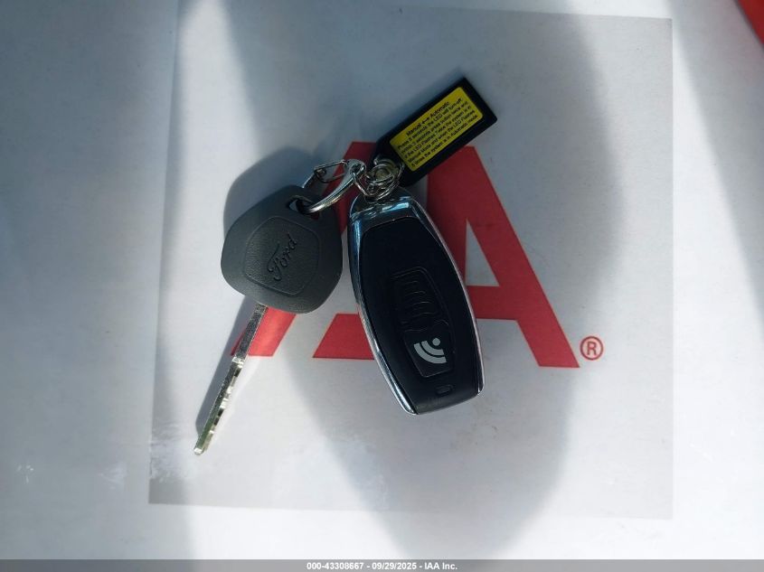 2023 Ford E-450 Stripped VIN: 1FC4E4KN5PDD25653 Lot: 43308667