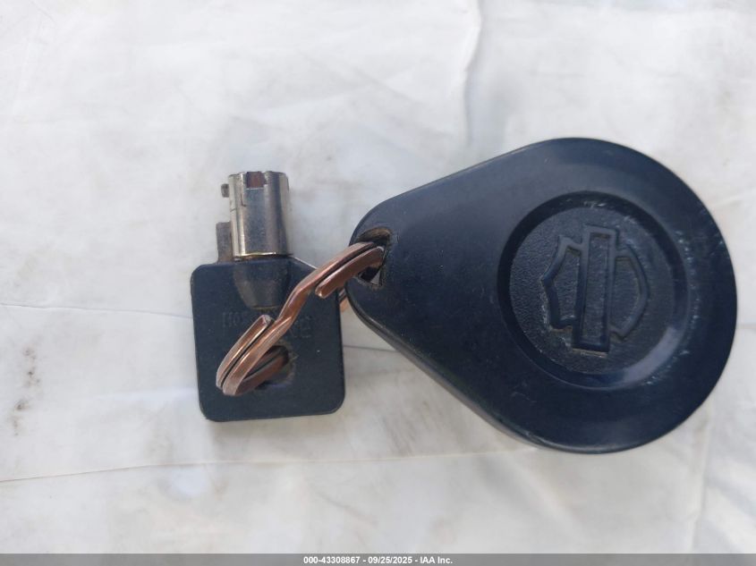 2021 Harley-Davidson Flhtk VIN: 1HD1KEF16MB615091 Lot: 43308867