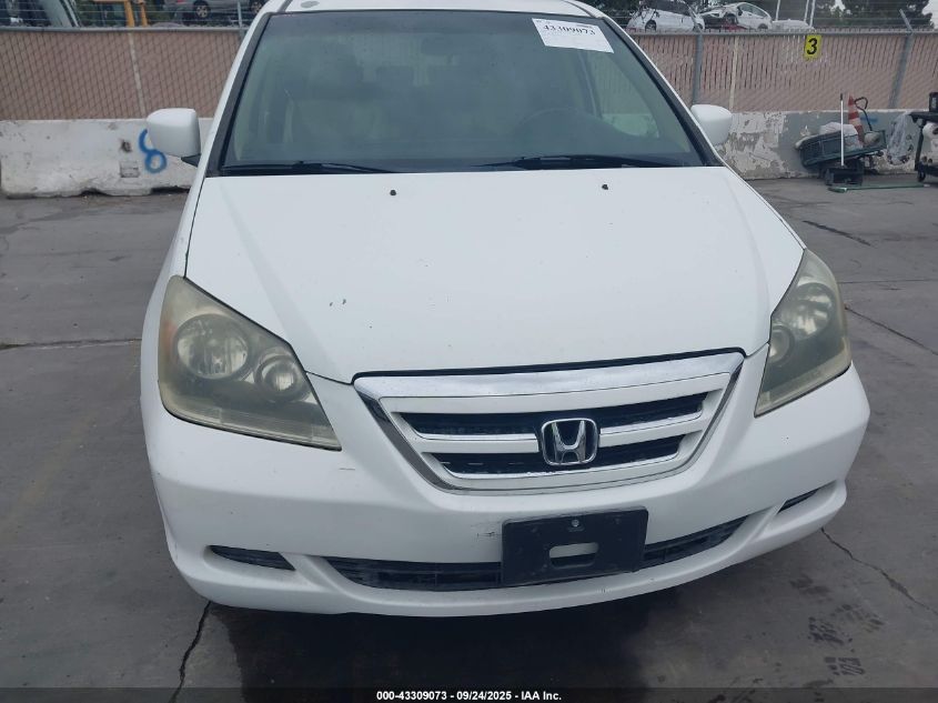 2007 Honda Odyssey Ex-L VIN: 5FNRL38737B082626 Lot: 43309073